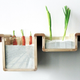 Image for article titled Elegant design solutions to save your food from languishing in the fridge